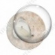 Image digitale - Papillon
