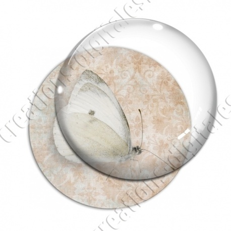 Image digitale - Papillon