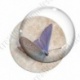 Image digitale - Papillon