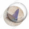 Image digitale - Papillon