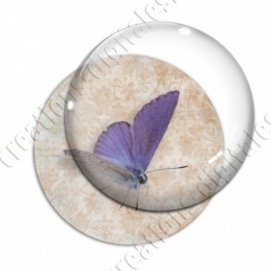 Image digitale - Papillon