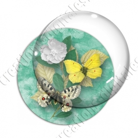 Image digitale - Papillons et fleur - vert