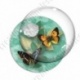 Image digitale - Papillons et fleur - vert