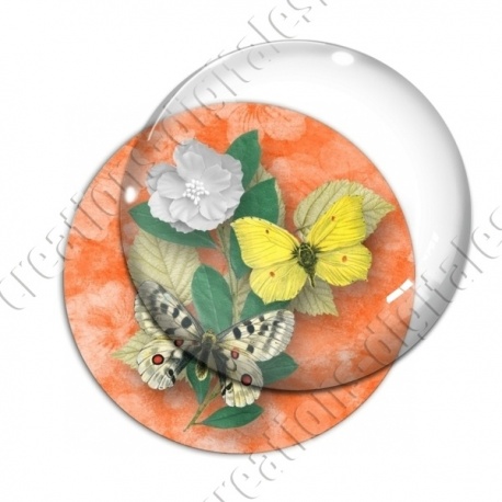 Image digitale - Papillons et fleur - orange