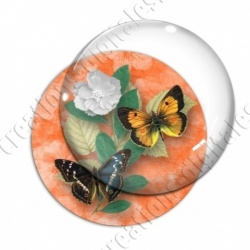 Image digitale - Papillons et fleur - orange
