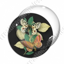 Image digitale - Papillons et fleur - noir