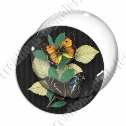 Image digitale - Papillons et fleur - noir