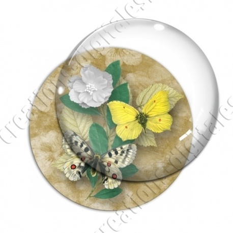 Image digitale - Papillons et fleur - marron
