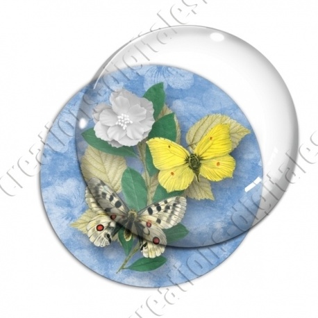 Image digitale - Papillons et fleur - bleu