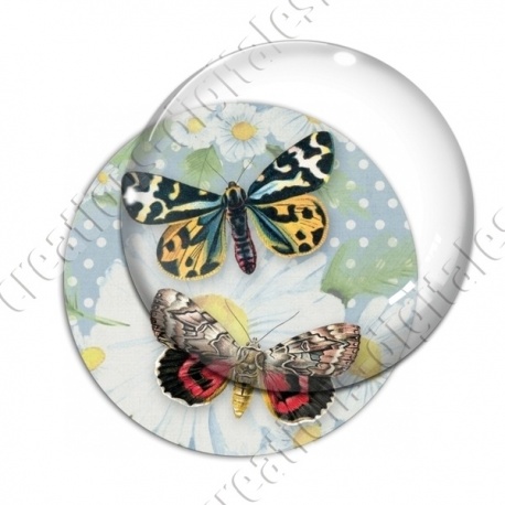 Image digitale - Papillon fond fleuri