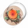 Image digitale - Montage fleur orange et Fond rayons