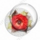 Image digitale - Montage fleur rouge et fond fleuri