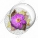 Image digitale - Montage fleur violette et fond fleuri