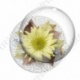 Image digitale - Montage fleur jaune et fond fleuri