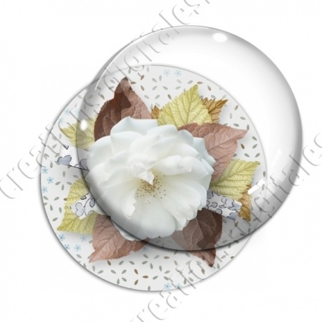 Image digitale - Montage fleur blanche et fond fleuri