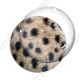 Image digitale - Guépard pelage 01