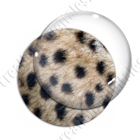 Image digitale - Guépard pelage 01