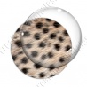 Image digitale - Guépard pelage 02
