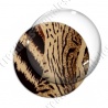 Image digitale - Animal 01
