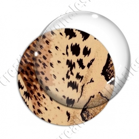 Image digitale - Animal 03