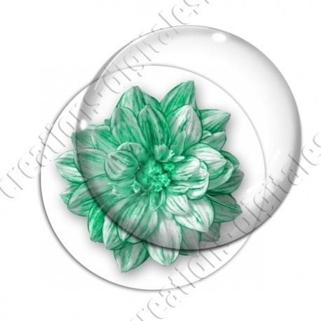 Image digitale - Fleur bicolore