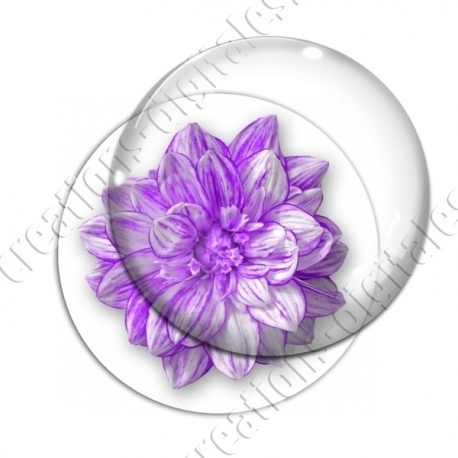 Image digitale - Fleur bicolore