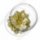 Image digitale - Fleur bicolore