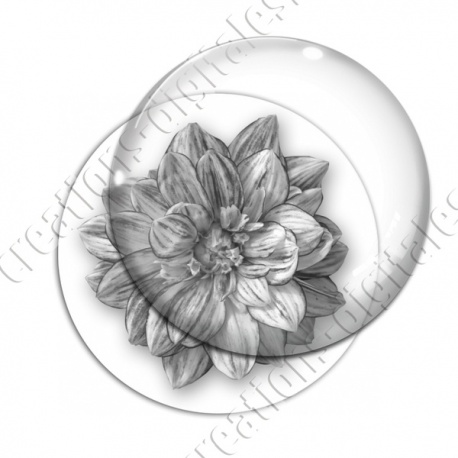 Image digitale - Fleur bicolore
