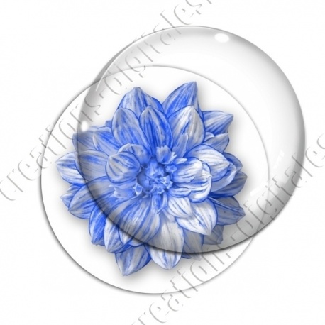 Image digitale - Fleur bicolore