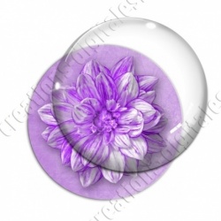 Image digitale - Fleur bicolore sur fond coloré