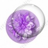 Image digitale - Fleur bicolore sur fond coloré