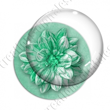 Image digitale - Fleur bicolore sur fond coloré