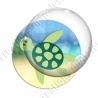Image digitale - Tortue de mer