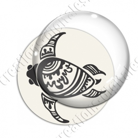 Image digitale - Tortue 01