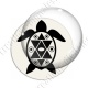 Image digitale - Tortue 03