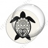 Image digitale - Tortue 04