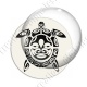 Image digitale - Tortue 05
