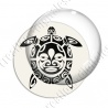 Image digitale - Tortue 05