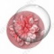 Image digitale - Fleur bicolore sur fond coloré