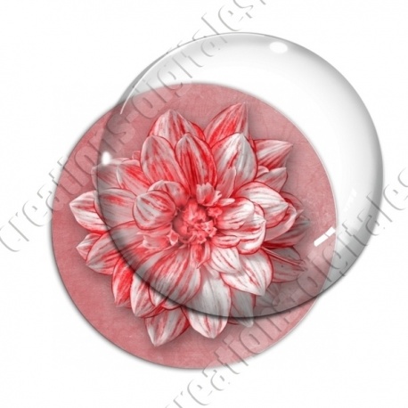 Image digitale - Fleur bicolore sur fond coloré