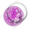 Image digitale - Fleur bicolore sur fond coloré