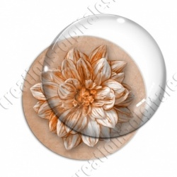 Image digitale - Fleur bicolore sur fond coloré