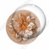 Image digitale - Fleur bicolore sur fond coloré