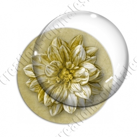 Image digitale - Fleur bicolore sur fond coloré