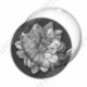 Image digitale - Fleur bicolore sur fond coloré