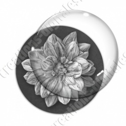 Image digitale - Fleur bicolore sur fond coloré