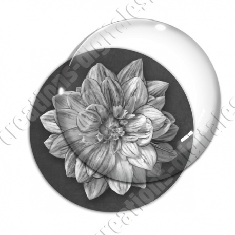 Image digitale - Fleur bicolore sur fond coloré