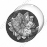 Image digitale - Fleur bicolore sur fond coloré
