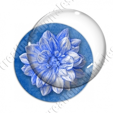 Image digitale - Fleur bicolore sur fond coloré