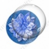 Image digitale - Fleur bicolore sur fond coloré